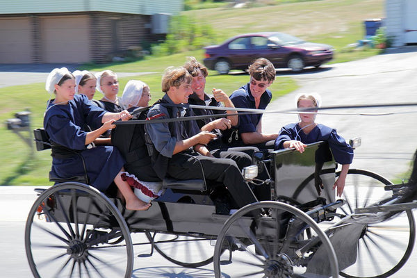 types of amish groups