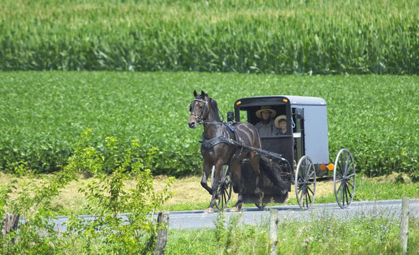 what amish people think of outsiders