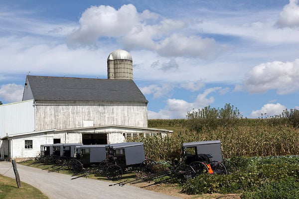 what do amish believe