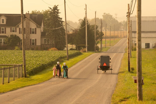 what is amish people