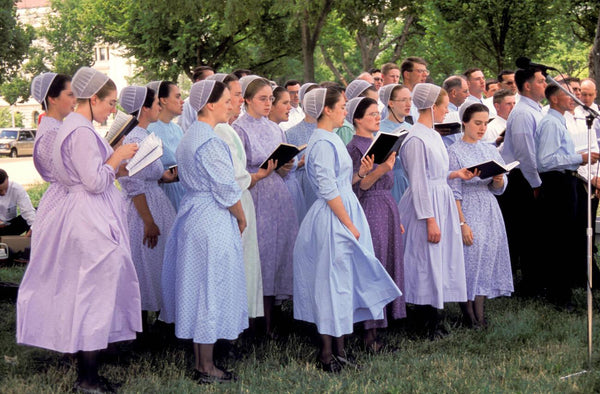 what's the difference between amish and mennonite