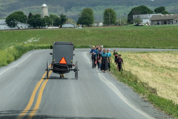 which of the following is true regarding the amish community’s beliefs and practices