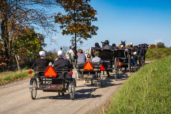 why do the amish separate themselves from the society