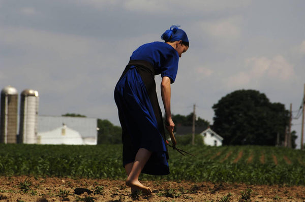 why don't amish wear shoes