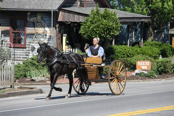 why dont amish pay taxes